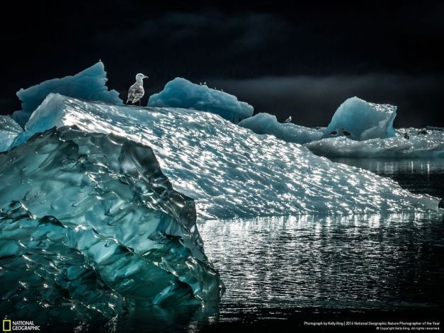 20+ Of The Best Entries From The 2016 National Geographic Nature Photographer Of The Year - Icescape
